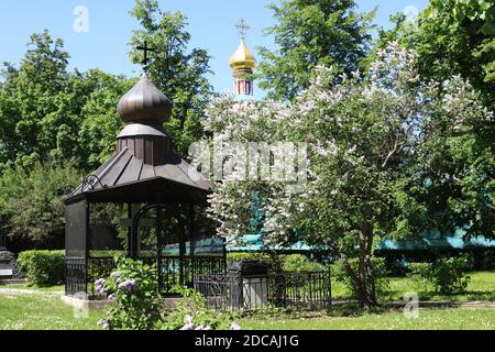 All'interno del convento di Novodevichy in primavera, Mosca Foto Stock