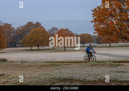 Richmond Upon Thames, Londra. 20 novembre 2020. Tempo nel Regno Unito: Un paesaggio coperto di gelo a Richmond Park nella zona ovest di Londra in una brillante mattina d'autunno, Richmond upon Thames, Inghilterra, Regno Unito. 20 Nov 2020. Inghilterra, Regno Unito Credit: Jeff Gilbert/Alamy Live News Foto Stock