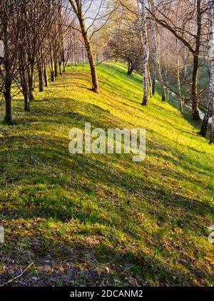 Lunghe ombre sulla ripida pendenza. Foto Stock