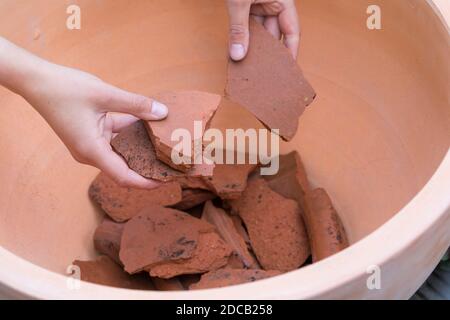 Facendo un mini sandarium per le api selvatiche, la ciotola è riempita con i croccini per il drenaggio, foto di serie 6/18, Germania Foto Stock