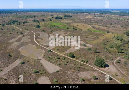 heath paesaggio con zone afflitte, vista aerea, Paesi Bassi, Overijssel, Sallandse Heuvelrug National Park Foto Stock