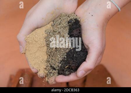 Fare un mini sandarium per le api selvatiche, la miscela di sabbia, argilla e terreno è riempito in una ciotola, foto di serie 11/18, Germania Foto Stock