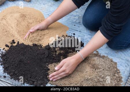 Fare un mini sandarium per le api selvatiche, la miscela di sabbia, argilla e terreno è riempito in una ciotola, foto di serie 7/18, Germania Foto Stock