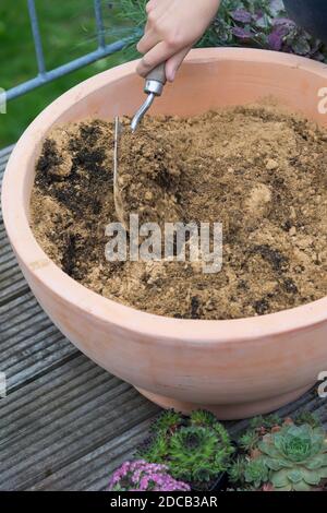 Fare un mini sandarium per le api selvatiche, la miscela di sabbia, argilla e terreno è riempito in una ciotola, foto di serie 13/18, Germania Foto Stock