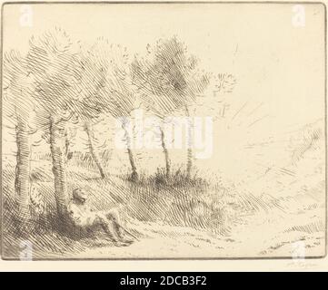 Alphonse Legros, (artista), francese, 1837 - 1911, Paesaggio (Paysage), incisione Foto Stock