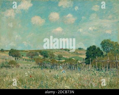 Alfred Sisley, (artista), Francese, 1839 - 1899, Meadow, 1875, olio su tela, totale: 54.9 x 73 cm (21 5/8 x 28 3/4 pollici), incorniciato: 79.7 x 98.7 x 10.2 cm (31 3/8 x 38 7/8 x 4 pollici Foto Stock