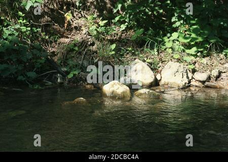 Foresta, fiume e rocce in estate Foto Stock