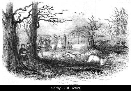 The Berkeley Hunt, 1844. Cacciatori e loro cani inseguono cervi in Gloucestershire. Da "tempi pittorici", 1844. Foto Stock