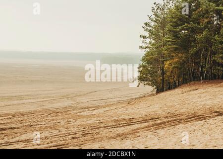 Deserto di Bredow (pustynia bledowska) Il deserto di sabbia più grande della regione della Slesia in Polonia Foto Stock