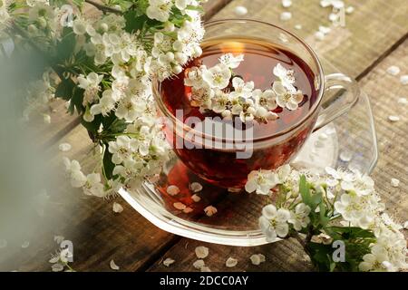 Tisane di fior di tisana da boccioli di fiori intorno rami fioriti su sfondo rustico di legno, closeup, spazio di copia, salute del cuore e sana bevanda a base di erbe Foto Stock