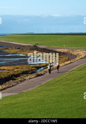 Nordstrand, Germania. 20 Nov 2020. La gente cammina lungo una diga al Mare del Nord con il Mare di Wadden. La costa del Mare del Nord dello Schleswig-Holstein è ben preparata per la prossima stagione delle tempeste. (A dpa 'Autumn dyke show completed - dykes are defensible') Credit: Daniel Bockwoldt/dpa/Alamy Live News Foto Stock