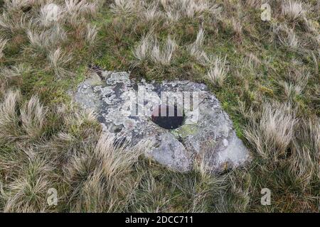Antica Coppa e anello segnato pietra su Eel Hill, Barningham Moor, Barningham, Teesdale, County Durham, Regno Unito Foto Stock