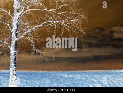 Albero solitario nell'ambiente orizzontale con spazio di copia per il testo. I colori sono stati invertiti in questa immagine. Foto Stock