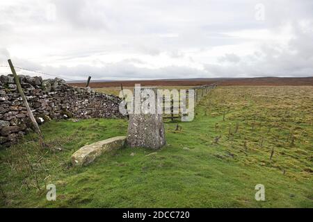 Summit Tig Point sul Barrow Ancient Round di How Tallon, Barningham Moor, Teesdale, County Durham, Regno Unito Foto Stock