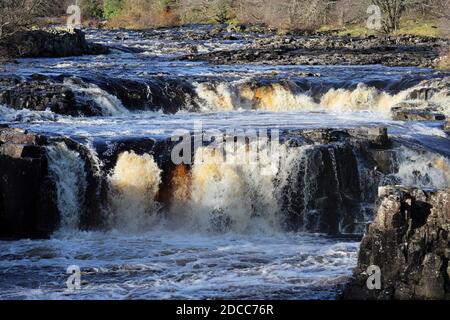 I River Tees che scorrono su Low Force, Bowlees, Upper Teesdale, County Durham, Regno Unito Foto Stock