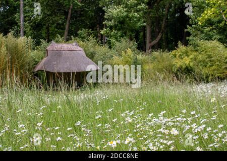 gazebo con tetto in paglia in un prato di fiori selvatici Foto Stock