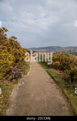 Gli invalidi percorreranno un bellissimo sentiero sulle pendici inferiori della Grande Orme, Llandudno, che offre splendide vedute delle due sponde di Conwy e Snowdonia. Foto Stock