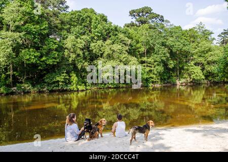 Louisiana St. Tammany Parish Northshore, Covington Bogue Falaya Park, donna residente cane cani animali domestici, Foto Stock