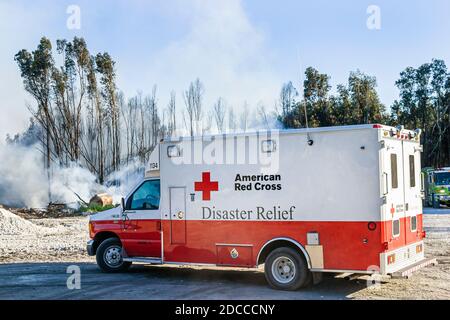 Miami Florida, Pennsuco West Okeechobee Road, fuoco danneggiato alberi cenere bruciare controllato, pompieri vigili del fuoco Everglades bordo fumo, American Red Cro Foto Stock
