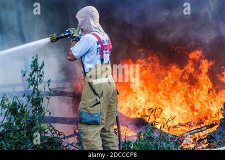 Miami Florida, Pennsuco West Okeechobee Road, fuoco danneggiato alberi cenere bruciare controllato, pompieri vigili del fuoco Everglades bordo fumo, Foto Stock