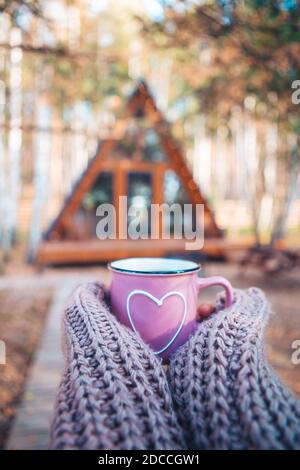 Tazza calda di tè che scalda le mani della donna in pullover di lana sullo sfondo di casa accogliente Foto Stock