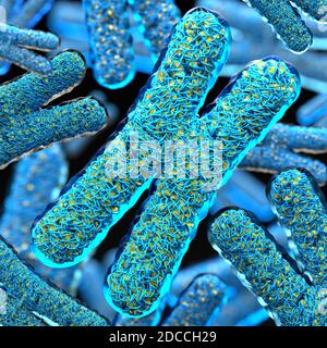 Primo piano su un gruppo di cromosomi trasparenti riempiti di visibile DNA Foto Stock