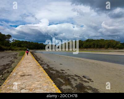 Causeway sull'estuario del Pont l'Abbe fiume in Finistere Bretagna nord-ovest Francia. Foto Stock