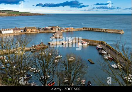 STONEHAVEN ABERDEENSHIRE SCOTLAND IL PORTO DI COWIE E ORMEGGIATE BARCHE CIRCONDATO DA ALBERI IN INVERNO Foto Stock