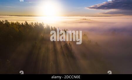 Alberi di abete rosso attraverso la nebbia mattutina in raggi di luce. Foresta all'alba foggy autunnale. Foto Stock