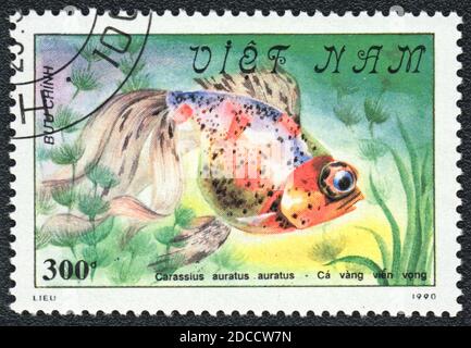 Un francobollo stampato in Vietnam mostra un disegno di pesce dorato tricolore mottled Goldfish (Carassius auratus auratus), serie 'Goldfish', 1990 Foto Stock