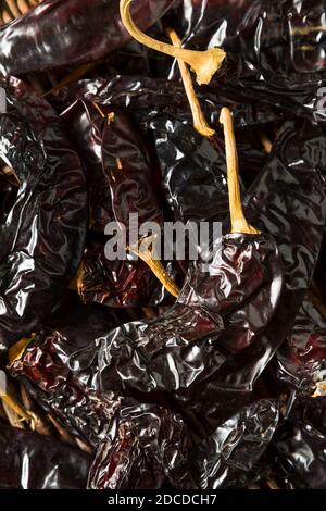 Piccanti Peperoncini caldi Gaujillo pronti a mangiare Foto Stock