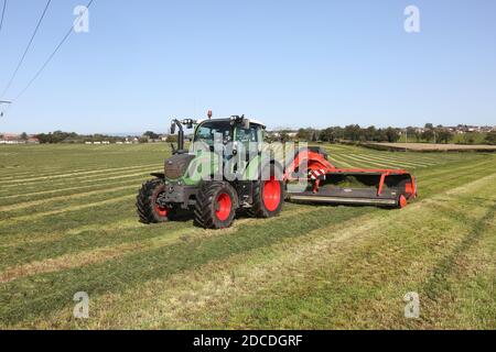 StrandHead Farm, Tarbolton, Ayrshire, Scotland 19 settembre 2020 Kuhn Merge Maxx Raking Machine in uso capovolgendo l'erba Foto Stock