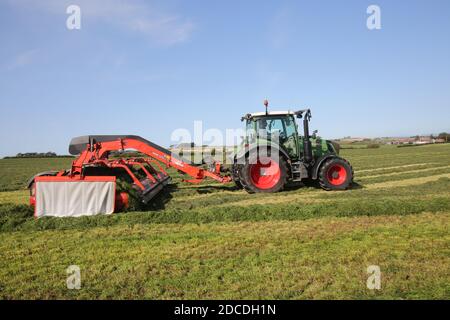 StrandHead Farm, Tarbolton, Ayrshire, Scotland 19 settembre 2020 Kuhn Merge Maxx Raking Machine in uso capovolgendo l'erba Foto Stock