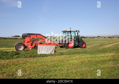 StrandHead Farm, Tarbolton, Ayrshire, Scotland 19 settembre 2020 Kuhn Merge Maxx Raking Machine in uso capovolgendo l'erba Foto Stock