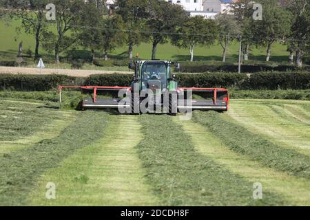 StrandHead Farm, Tarbolton, Ayrshire, Scotland 19 settembre 2020 Kuhn Merge Maxx Raking Machine in uso capovolgendo l'erba Foto Stock