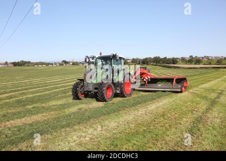 StrandHead Farm, Tarbolton, Ayrshire, Scotland 19 settembre 2020 Kuhn Merge Maxx Raking Machine in uso capovolgendo l'erba Foto Stock