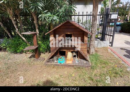 Casa di gatto di legno a due piani e cibo Foto Stock