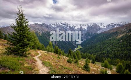 Nella Val venosta (in tedesco: Vinschgau) nella regione Alto Adige (in tedesco: Südtirol) si trovano splendide montagne come il Gruppo Ortler Foto Stock