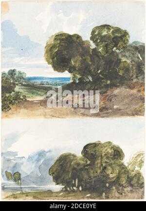 James Bulwer, (artista), British, 1794 - 1879, due schizzi di alberi, acquerello, totale (approssimativo): 17 x 12.4 cm (6 11/16 x 4 7/8 pollici Foto Stock