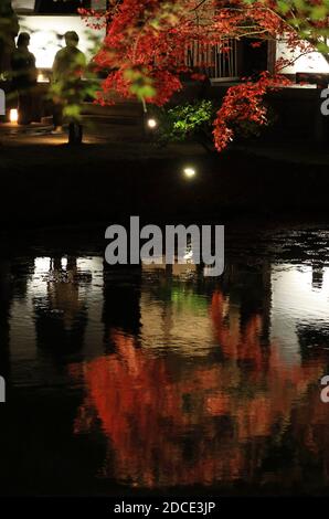 Kyoto, Giappone. 20 Nov 2020. Foglie d'autunno principalmente alberi d'acero sono illuminati e riflessi su uno stagno al tempio Kodaiji a Kyoto venerdì 20 novembre 2020. La gente ha goduto il fogliame colorato dell'autunno all'antica capitale del Giappone in tre vacanze autunnali consecutive. Credit: Yoshio Tsunoda/AFLO/Alamy Live News Foto Stock