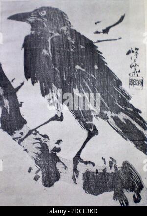 Kawanabe kyosai karasu. Foto Stock