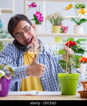 Il giovane fioraio lavora in un negozio di fiori Foto Stock