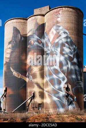 Silo art di Smug a Nullawil, nella regione mallea di Victoria raffigura un cane di bestiame kelpie con il suo padrone Foto Stock