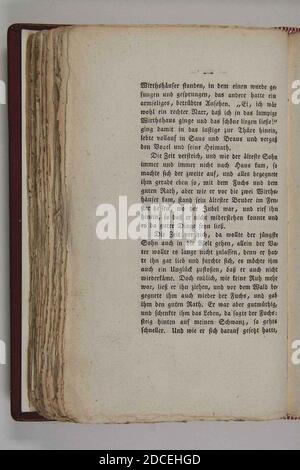 Kinder und Hausmärchen (Grimm) 1812 i 262. Foto Stock