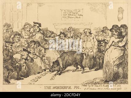 Thomas Rowlandson, (artista), britannico, 1756 - 1827, The Wonderful Pig, 1785, incisione Foto Stock