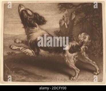 Jan Verkolje i, (artista), olandese, 1650 - 1693, A Spaniel Jumping, 1680, mezzotint su carta, piatto: 12.3 x 15.4 cm (4 13/16 x 6 1/16 pollici), foglio: 13 x 16 cm (5 1/8 x 6 5/16 pollici Foto Stock