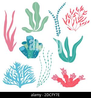 Piante subacquee, piante di mare e coralli, set per tessuti, tessuti, carta da parati, arredamento per vivai, stampe, sfondo infantile. Vettore Illustrazione Vettoriale