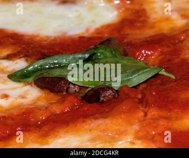 primo piano di pizza con pomodoro, mozzarella e foglia di basilico Foto Stock