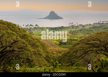 Isola di Mokoli'i (precedentemente conosciuta come l'obsoleto termine 'cappello di Chinaman'), caratteristica isola a forma di cono piccola della costa orientale di Oahu, Hawaii Foto Stock