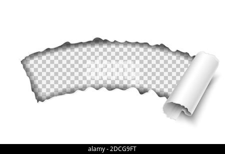 carta vettoriale 3d realistica strappata su sfondo bianco, modello con spazio per il testo. Illustrazione Vettoriale